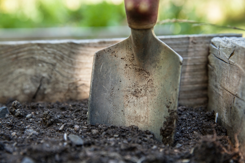 jardinerie-FLASSANS SUR ISSOLE-min_garden-1176406